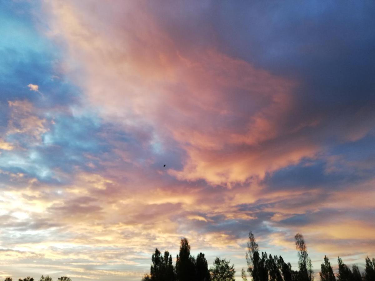 Au Coeur Du Jardin Villa La Boussac ภายนอก รูปภาพ
