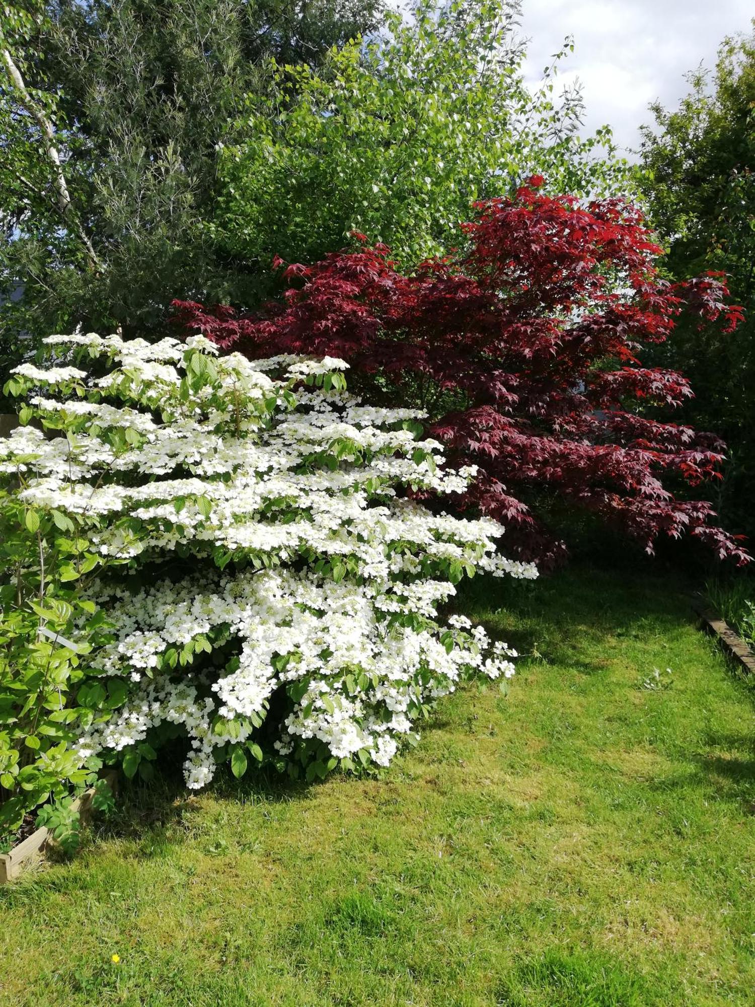 Au Coeur Du Jardin Villa La Boussac ภายนอก รูปภาพ